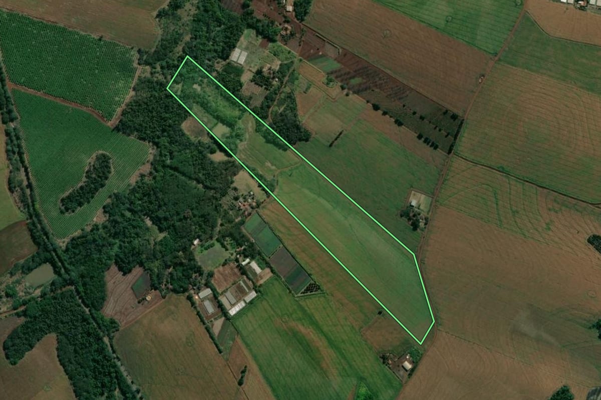 Imagem de satélite do imóvel rural em Uraí (PR), com o contorno declarado no CAR desenhado por cima.
