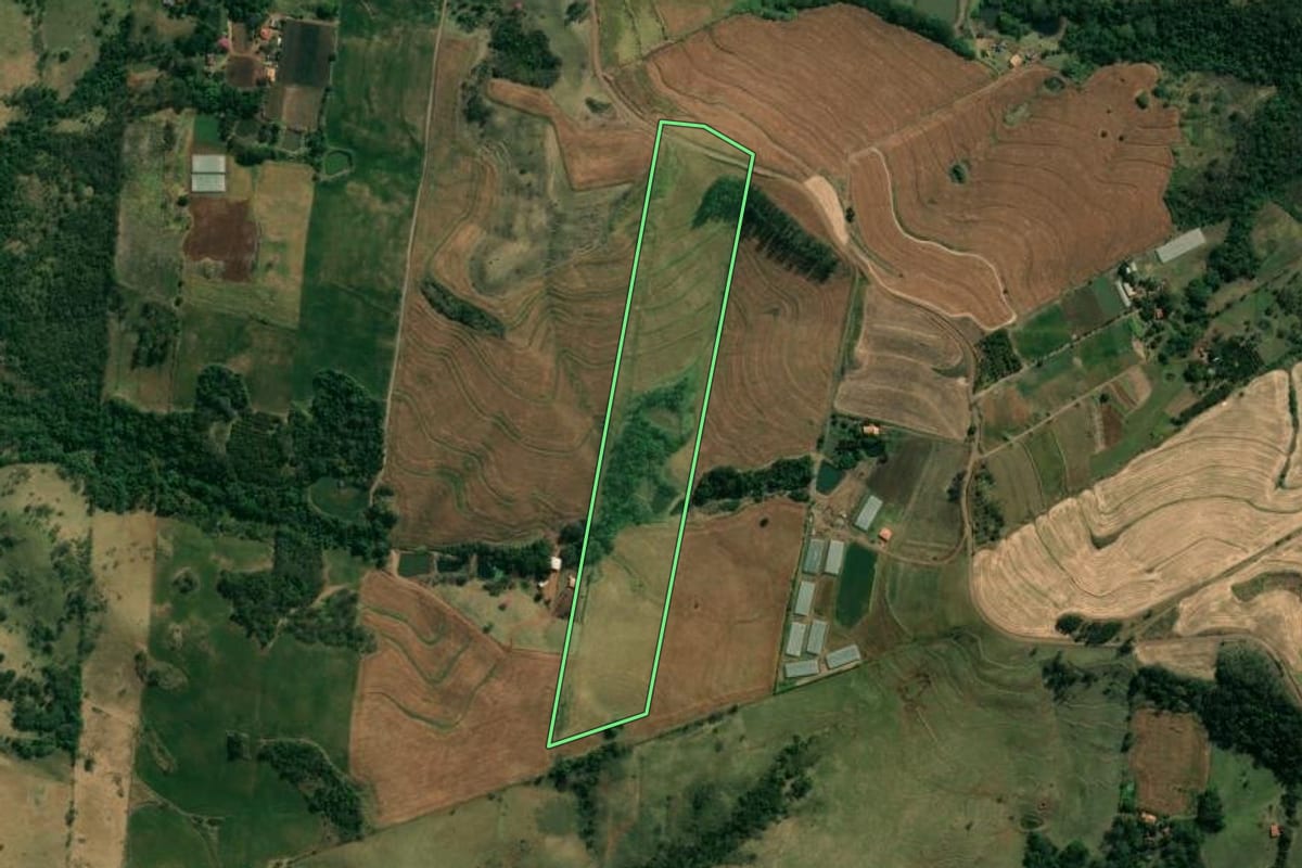Imagem de satélite do imóvel rural em Uraí (PR), com o contorno declarado no CAR desenhado por cima.