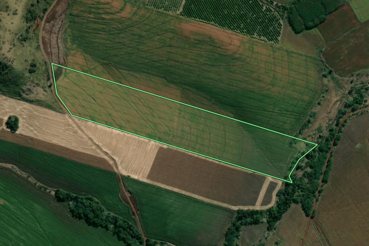 Imagem de satélite do imóvel rural em Uraí (PR), com o contorno declarado no CAR desenhado por cima.