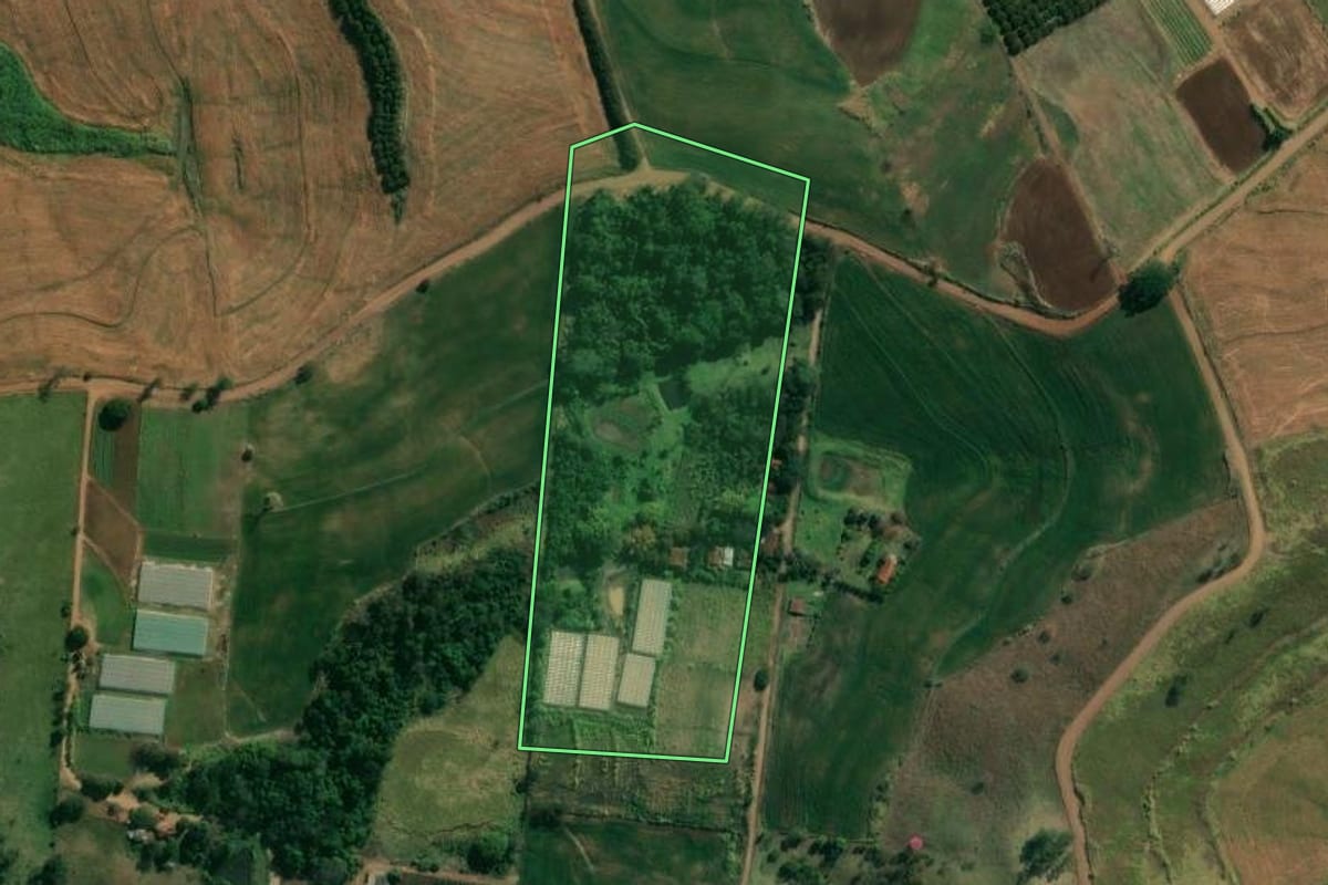 Imagem de satélite do imóvel rural em Uraí (PR), com o contorno declarado no CAR desenhado por cima.