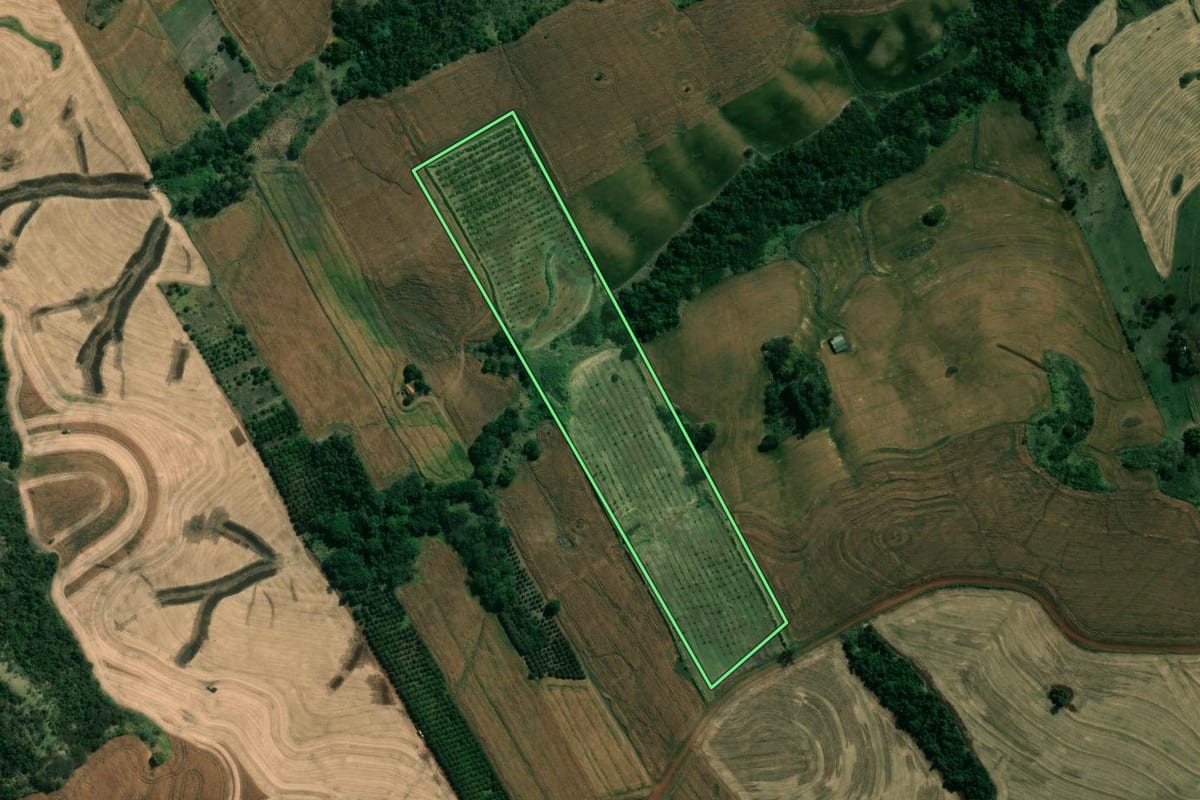 Imagem de satélite do imóvel rural em Uraí (PR), com o contorno declarado no CAR desenhado por cima.