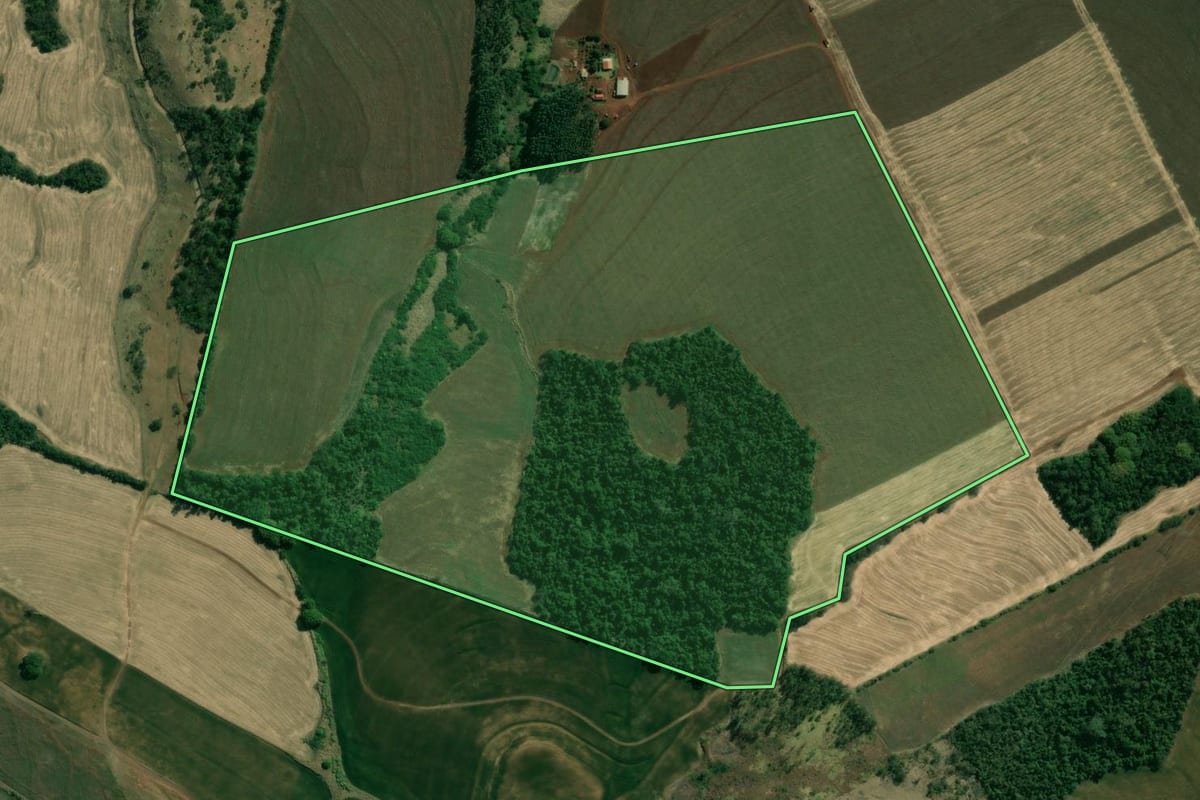 Imagem de satélite do imóvel rural em Uraí (PR), com o contorno declarado no CAR desenhado por cima.