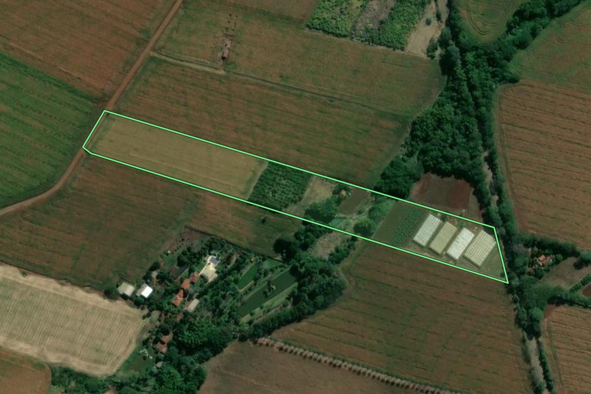Imagem de satélite do imóvel rural em Uraí (PR), com o contorno declarado no CAR desenhado por cima.
