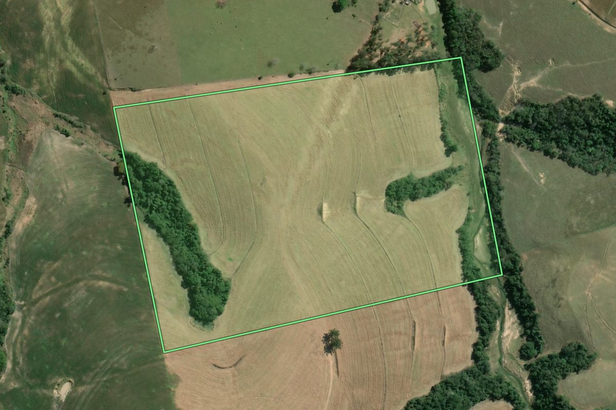 Imagem de satélite do imóvel rural em Wenceslau Braz (PR), com o contorno declarado no CAR desenhado por cima.