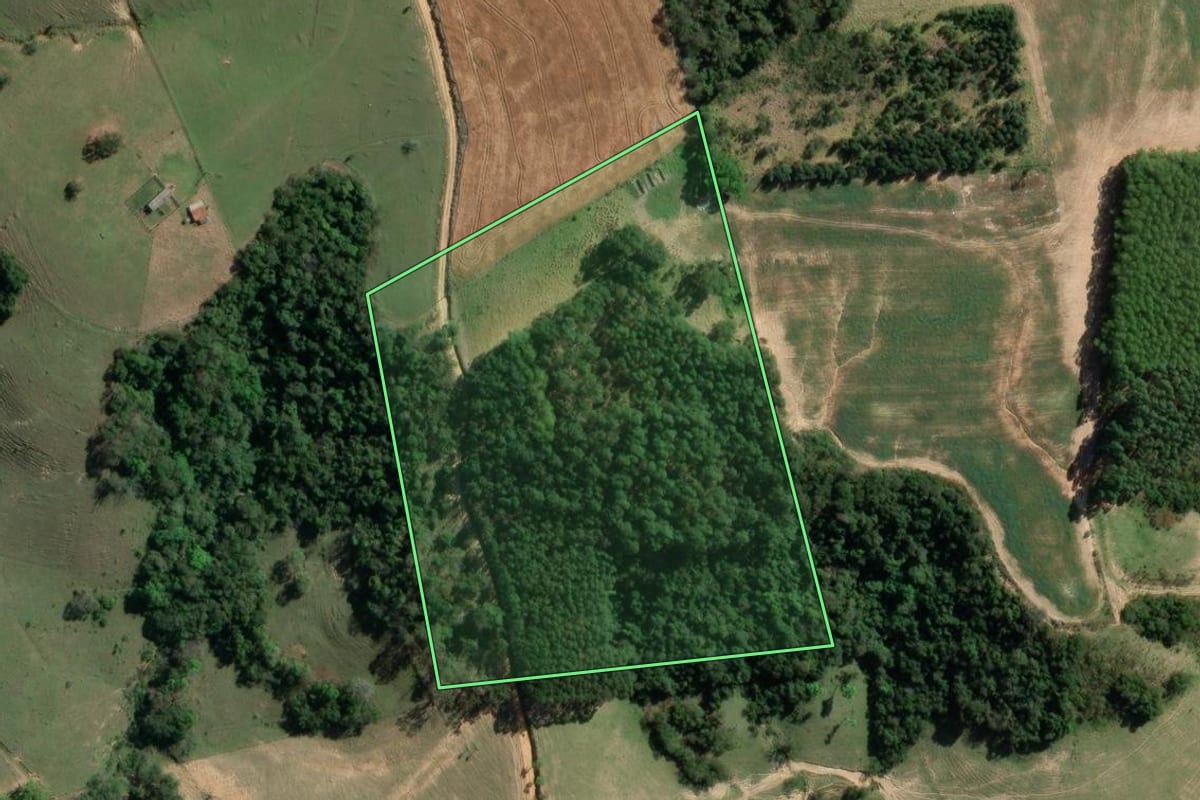 Imagem de satélite do imóvel rural em Wenceslau Braz (PR), com o contorno declarado no CAR desenhado por cima.