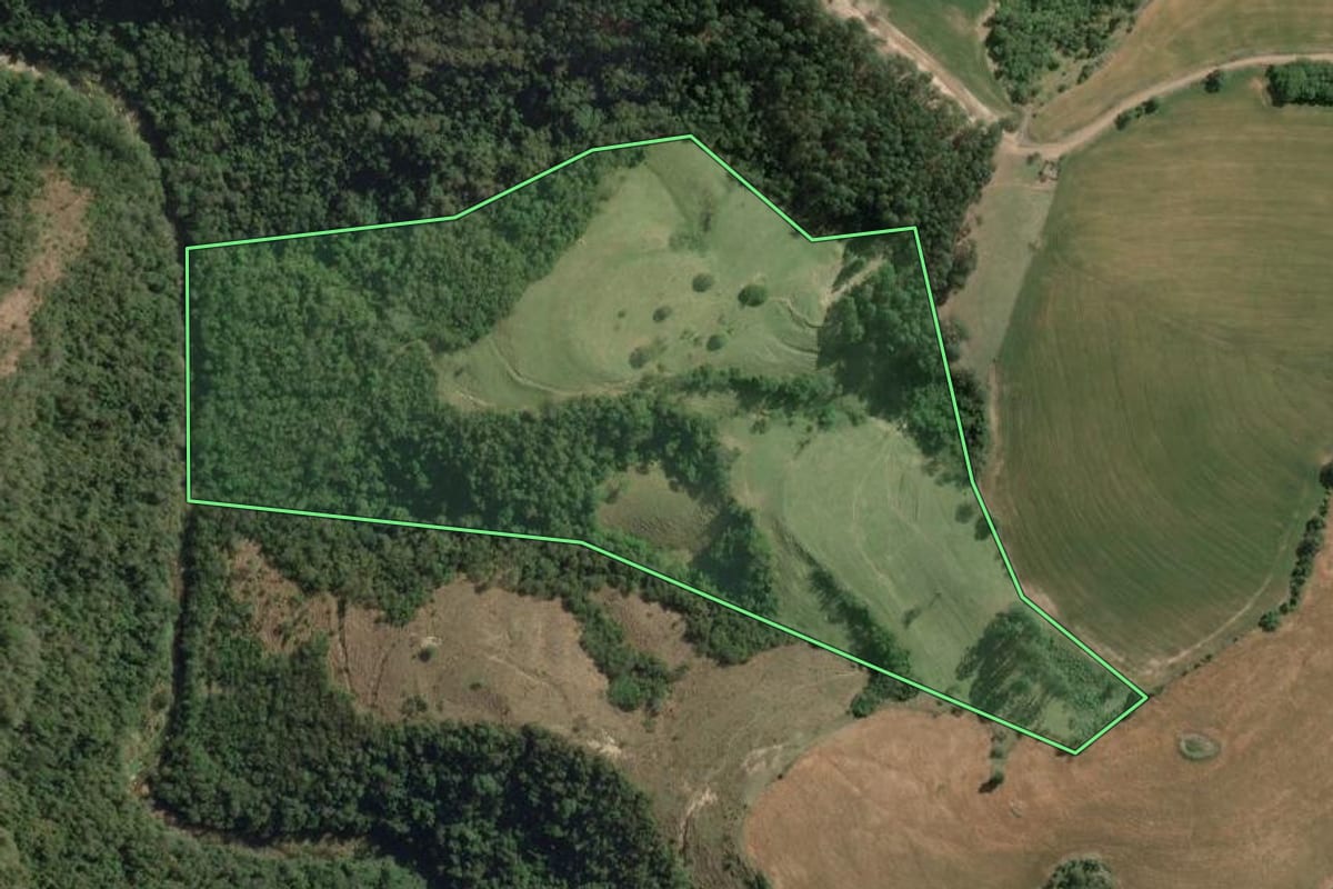 Imagem de satélite do imóvel rural em Wenceslau Braz (PR), com o contorno declarado no CAR desenhado por cima.