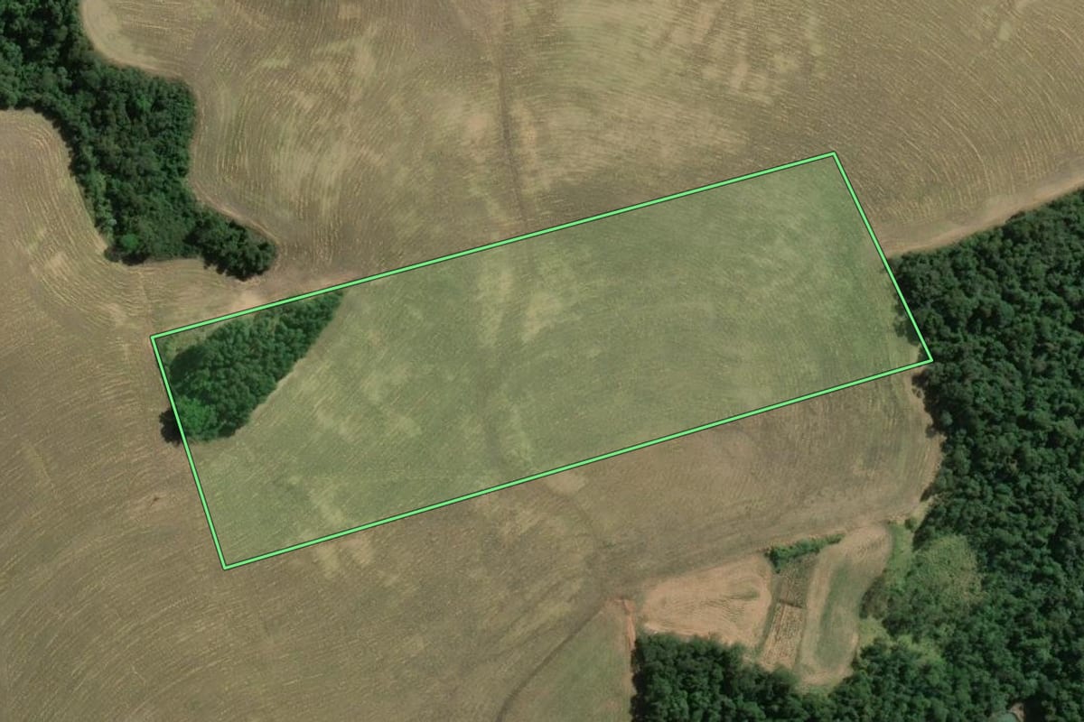 Imagem de satélite do imóvel rural em Wenceslau Braz (PR), com o contorno declarado no CAR desenhado por cima.