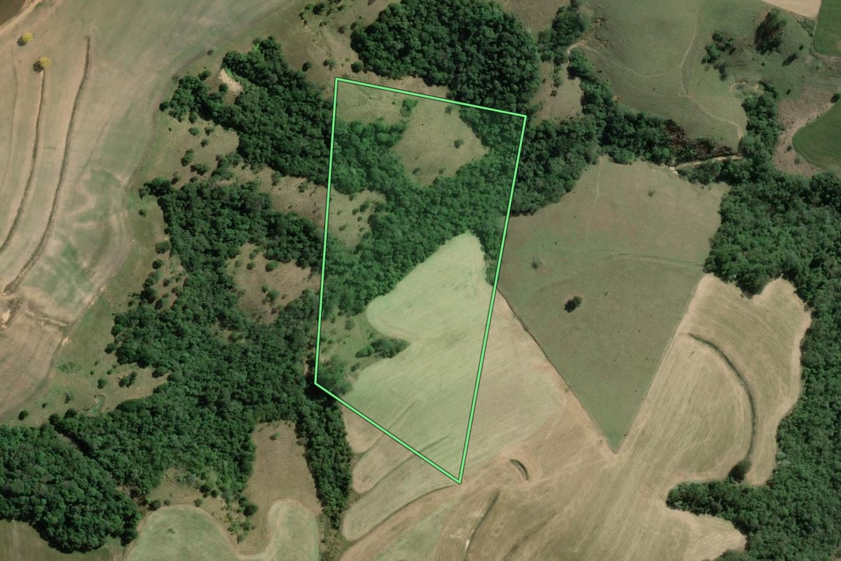 Imagem de satélite do imóvel rural em Wenceslau Braz (PR), com o contorno declarado no CAR desenhado por cima.