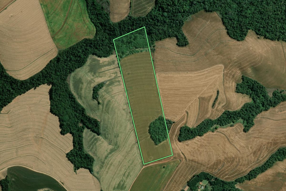 Imagem de satélite do imóvel rural em Wenceslau Braz (PR), com o contorno declarado no CAR desenhado por cima.