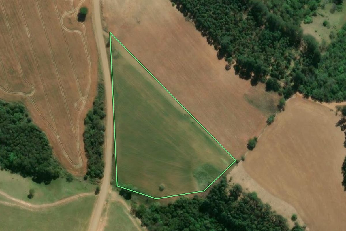 Imagem de satélite do imóvel rural em Ventania (PR), com o contorno declarado no CAR desenhado por cima.