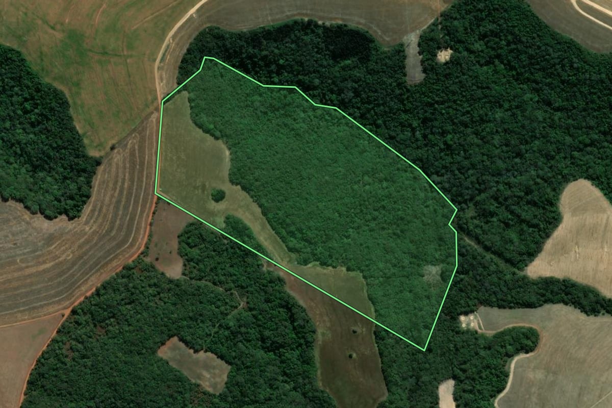 Imagem de satélite do imóvel rural em Ventania (PR), com o contorno declarado no CAR desenhado por cima.