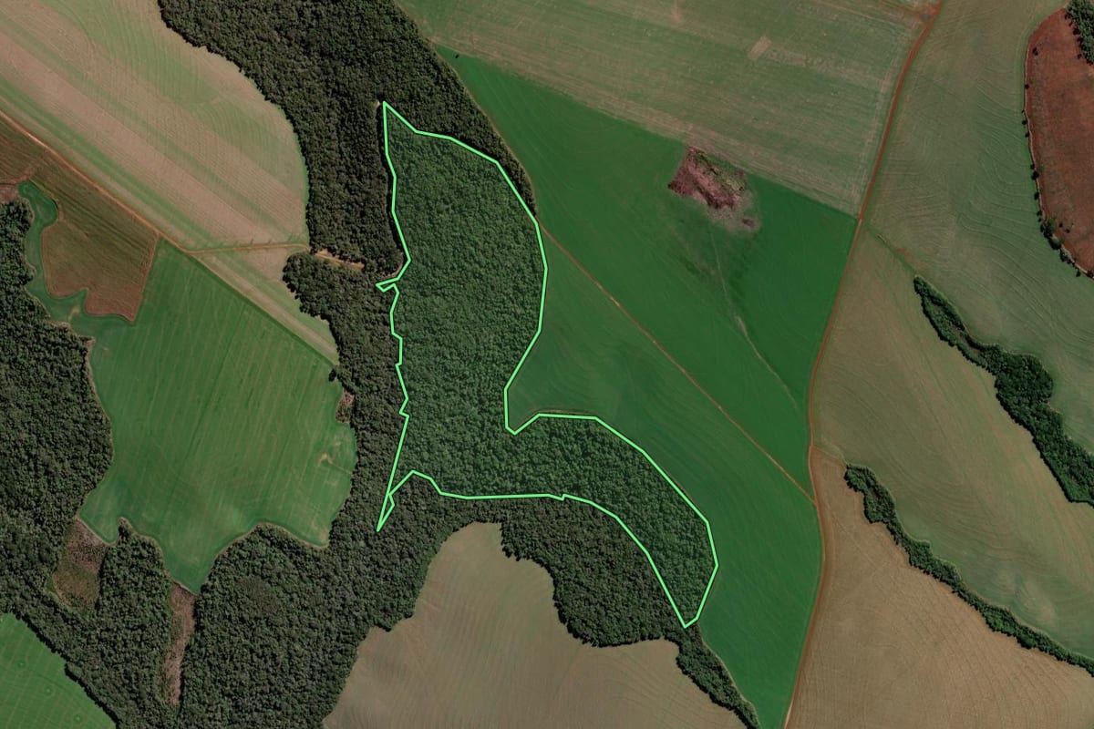 Imagem de satélite do imóvel rural em Ventania (PR), com o contorno declarado no CAR desenhado por cima.