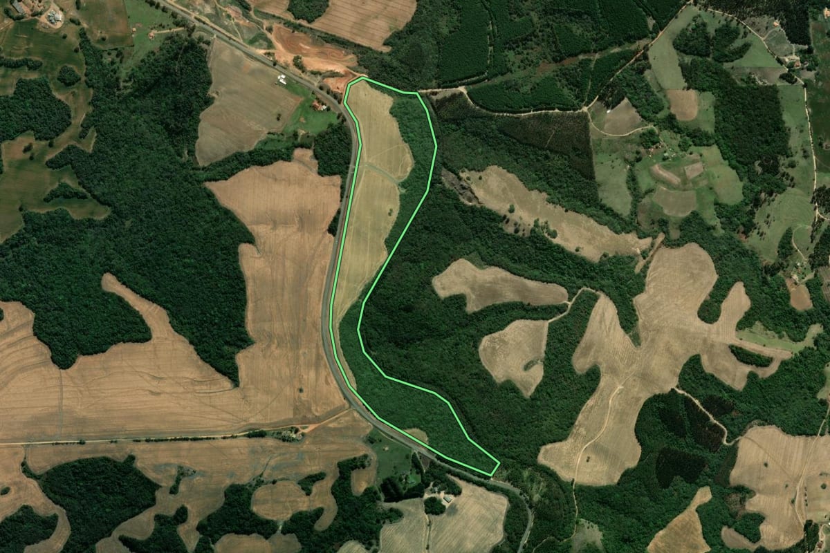 Imagem de satélite do imóvel rural em Ventania (PR), com o contorno declarado no CAR desenhado por cima.