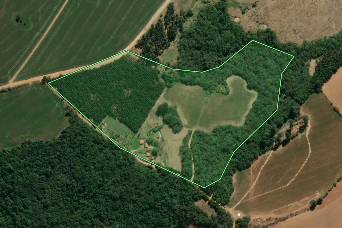Imagem de satélite do imóvel rural em Ventania (PR), com o contorno declarado no CAR desenhado por cima.