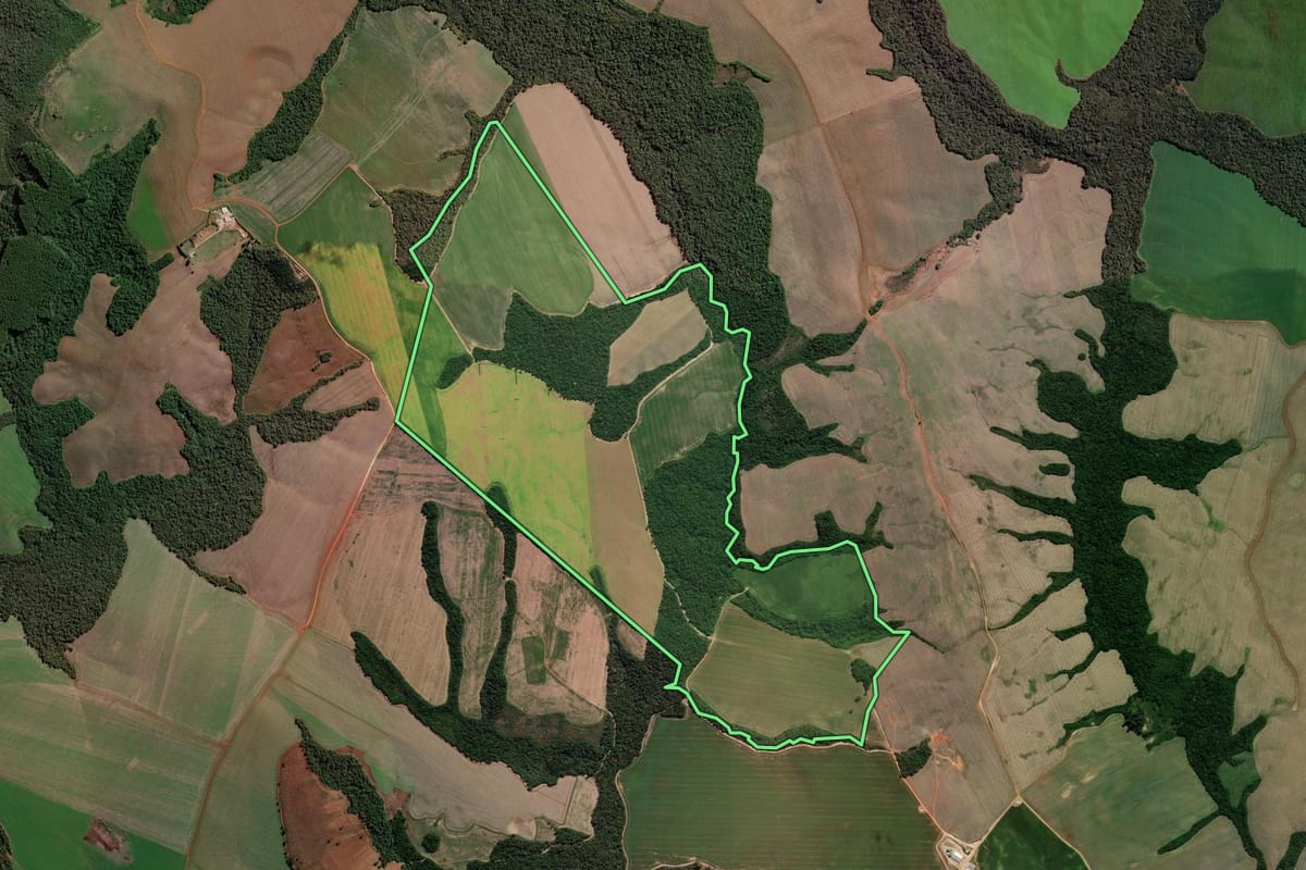 Imagem de satélite do imóvel rural em Ventania (PR), com o contorno declarado no CAR desenhado por cima.