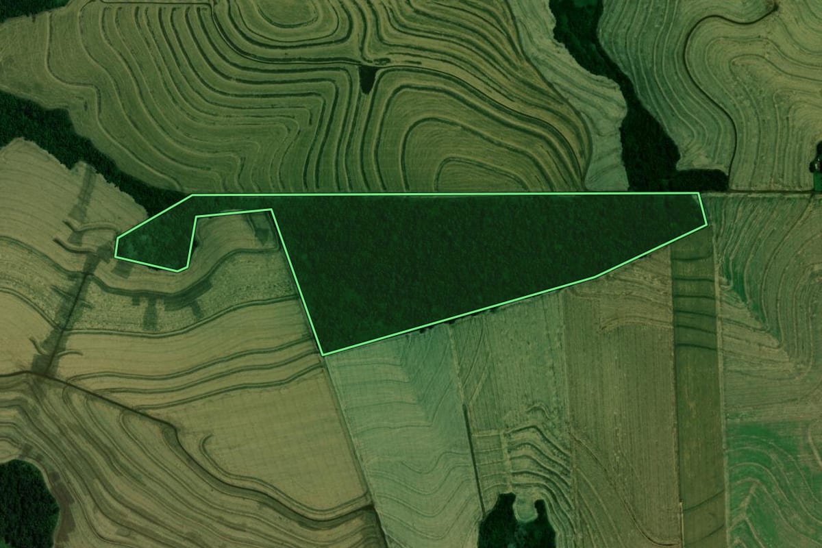 Imagem de satélite do imóvel rural em Vera Cruz do Oeste (PR), com o contorno declarado no CAR desenhado por cima.