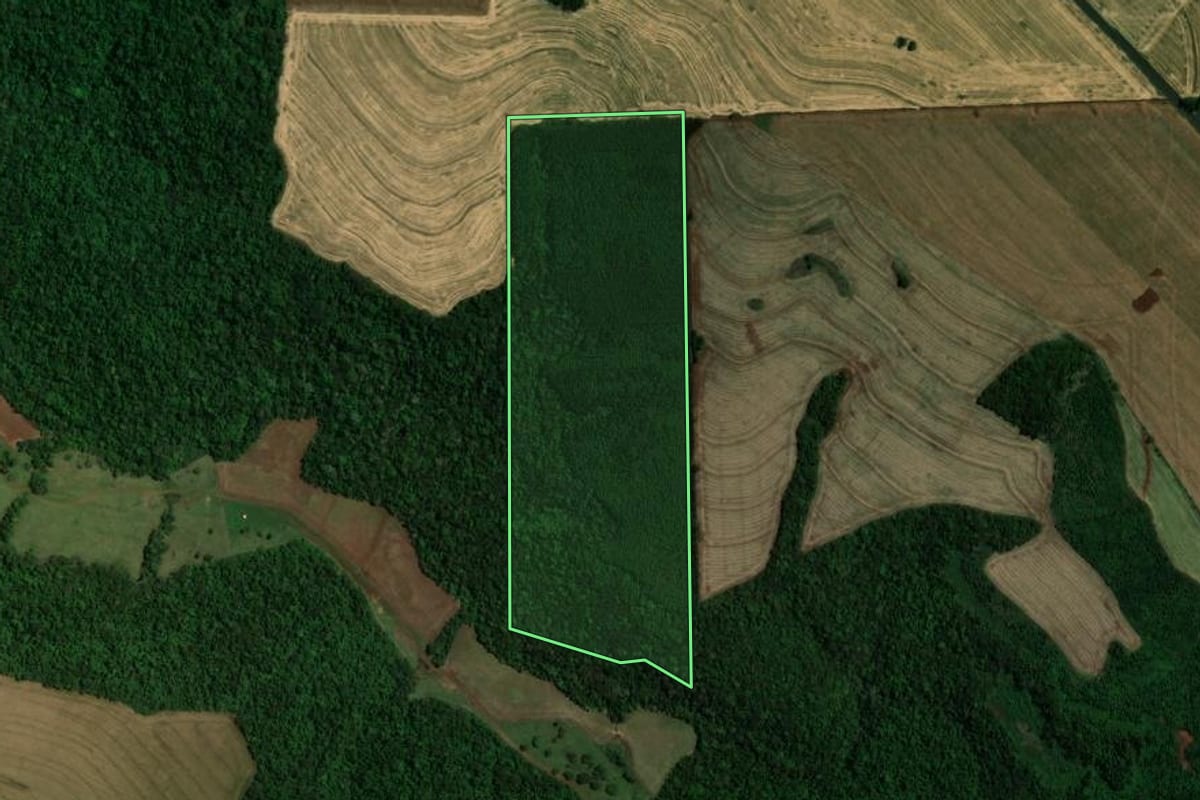 Imagem de satélite do imóvel rural em Vera Cruz do Oeste (PR), com o contorno declarado no CAR desenhado por cima.