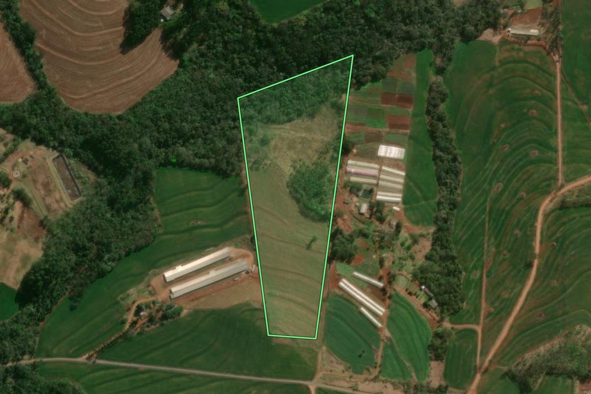 Imagem de satélite do imóvel rural em Vera Cruz do Oeste (PR), com o contorno declarado no CAR desenhado por cima.