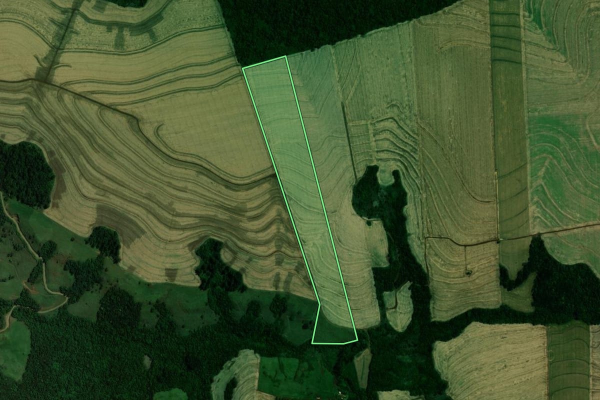 Imagem de satélite do imóvel rural em Vera Cruz do Oeste (PR), com o contorno declarado no CAR desenhado por cima.