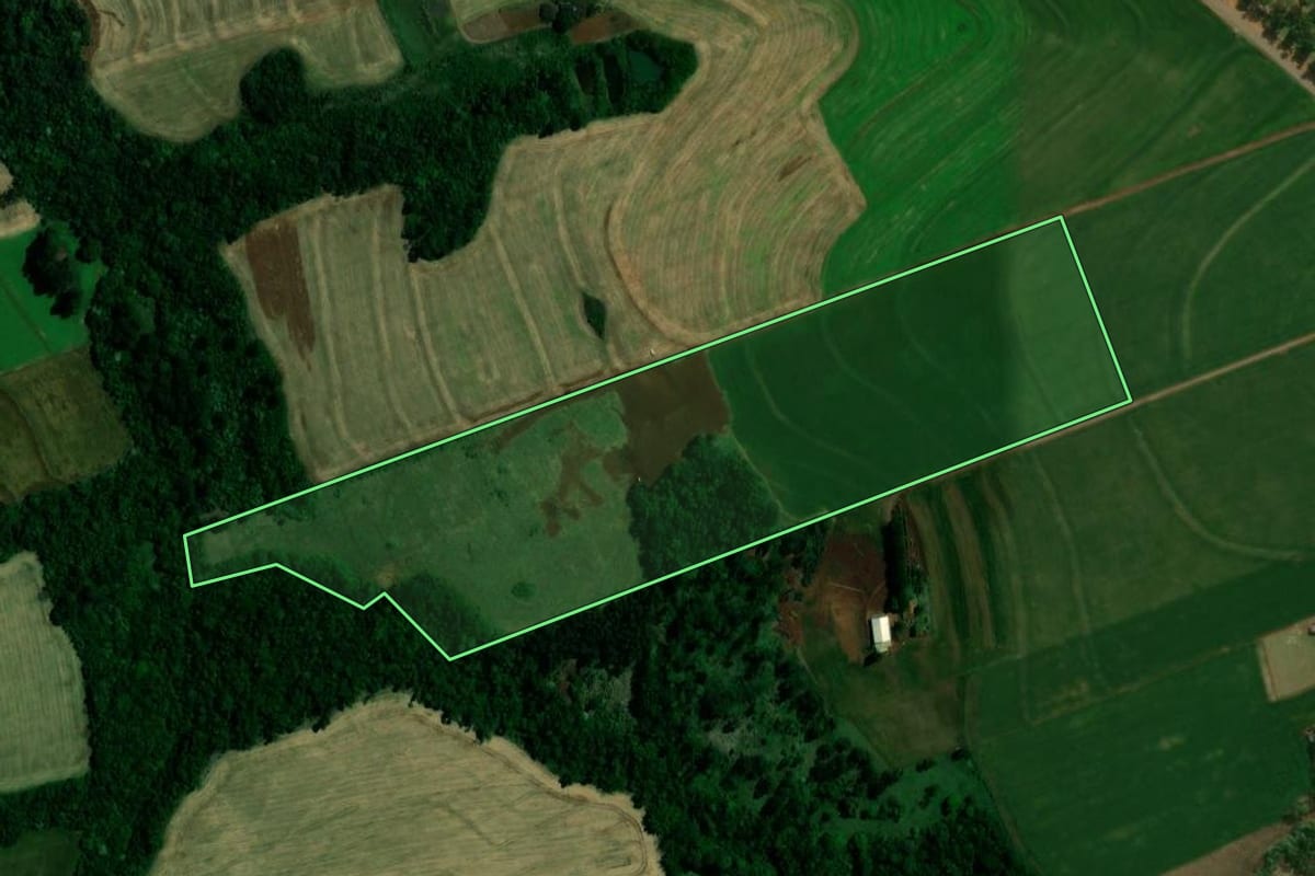 Imagem de satélite do imóvel rural em Vera Cruz do Oeste (PR), com o contorno declarado no CAR desenhado por cima.