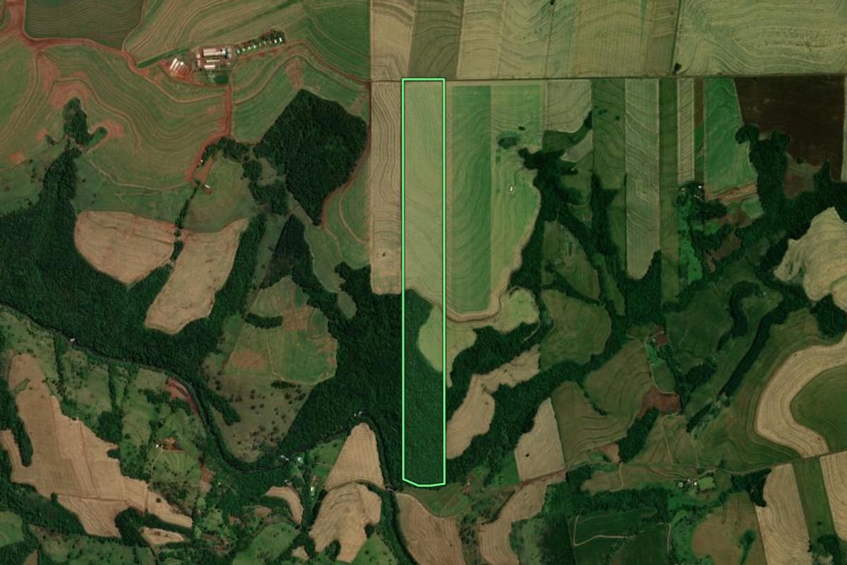 Imagem de satélite do imóvel rural em Vera Cruz do Oeste (PR), com o contorno declarado no CAR desenhado por cima.