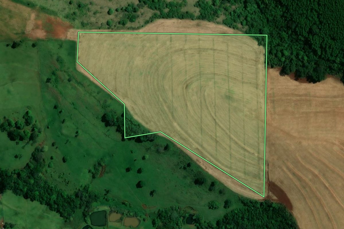 Imagem de satélite do imóvel rural em Vera Cruz do Oeste (PR), com o contorno declarado no CAR desenhado por cima.