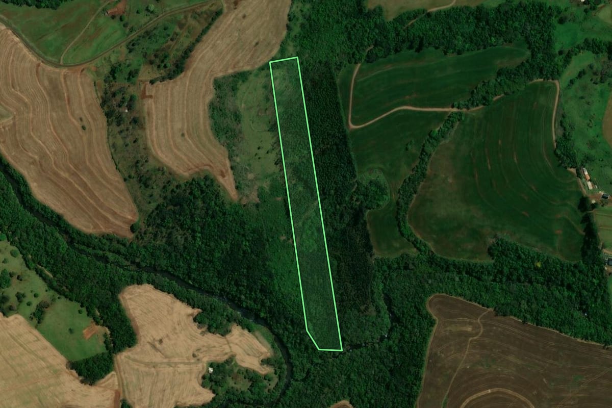 Imagem de satélite do imóvel rural em Vera Cruz do Oeste (PR), com o contorno declarado no CAR desenhado por cima.