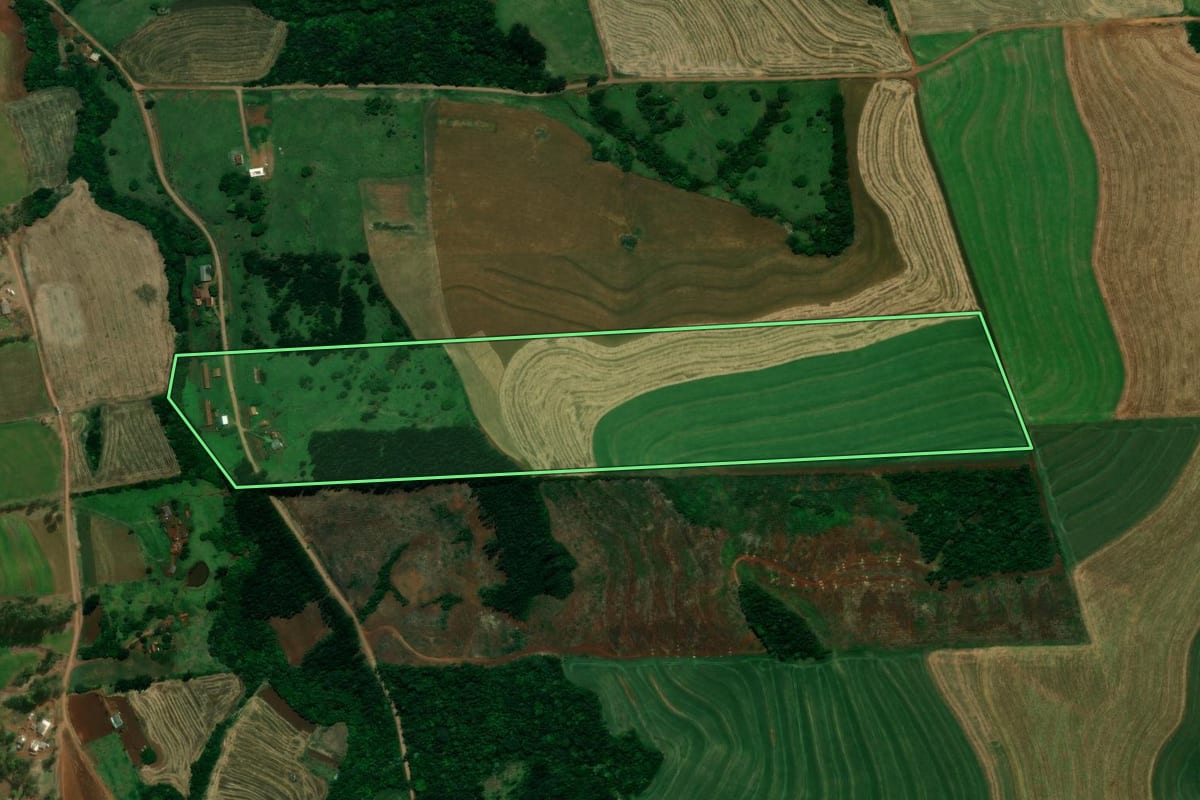 Imagem de satélite do imóvel rural em Vera Cruz do Oeste (PR), com o contorno declarado no CAR desenhado por cima.