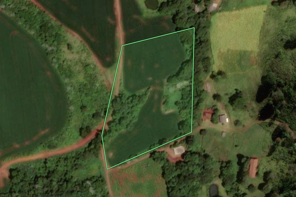 Imagem de satélite do imóvel rural em Verê (PR), com o contorno declarado no CAR desenhado por cima.
