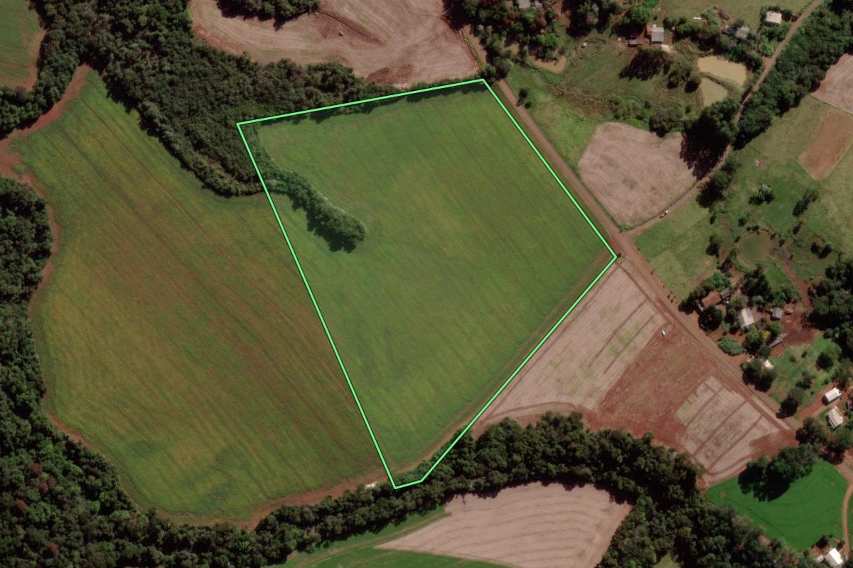 Imagem de satélite do imóvel rural em Verê (PR), com o contorno declarado no CAR desenhado por cima.