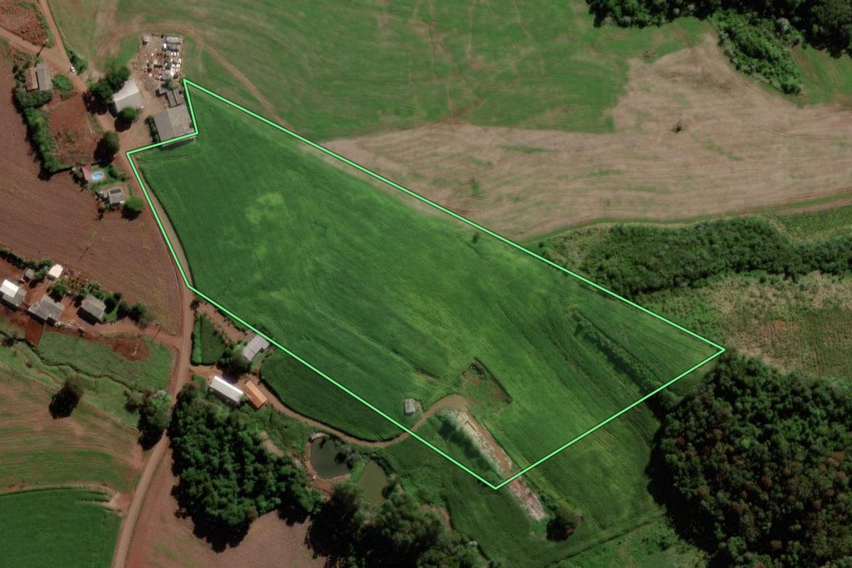 Imagem de satélite do imóvel rural em Verê (PR), com o contorno declarado no CAR desenhado por cima.