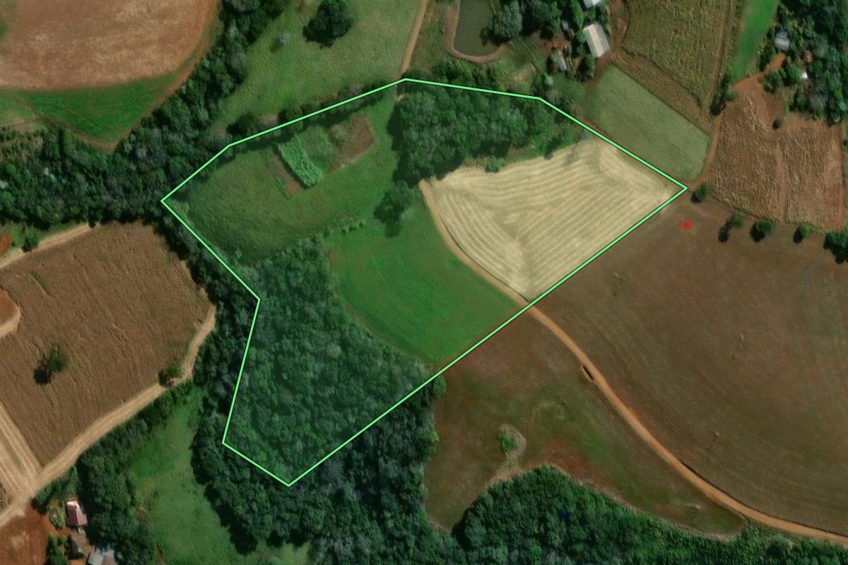 Imagem de satélite do imóvel rural em Verê (PR), com o contorno declarado no CAR desenhado por cima.
