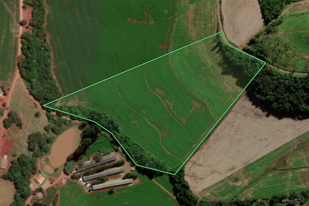 Imagem de satélite do imóvel rural em Verê (PR), com o contorno declarado no CAR desenhado por cima.