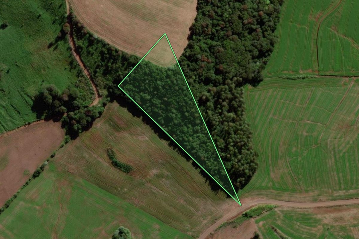 Imagem de satélite do imóvel rural em Verê (PR), com o contorno declarado no CAR desenhado por cima.
