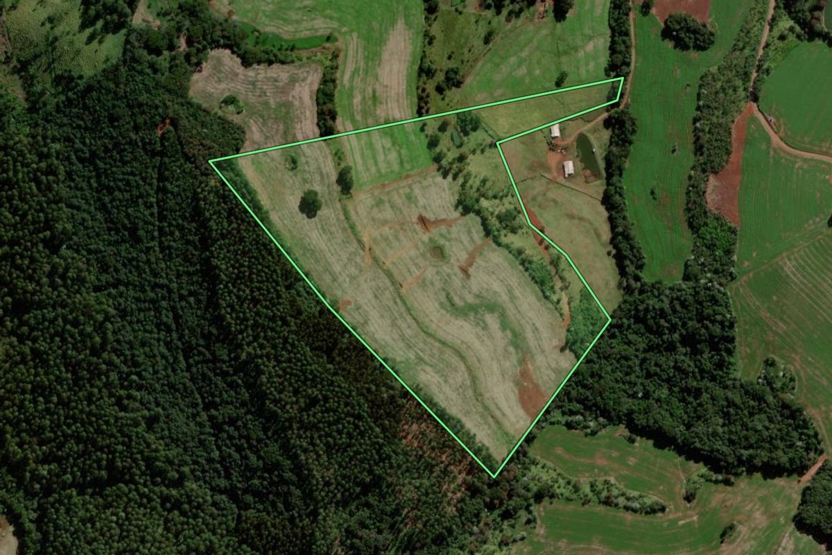 Imagem de satélite do imóvel rural em Verê (PR), com o contorno declarado no CAR desenhado por cima.