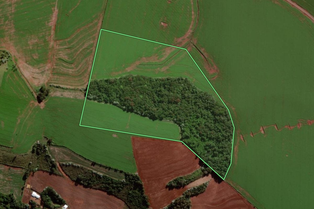 Imagem de satélite do imóvel rural em Verê (PR), com o contorno declarado no CAR desenhado por cima.