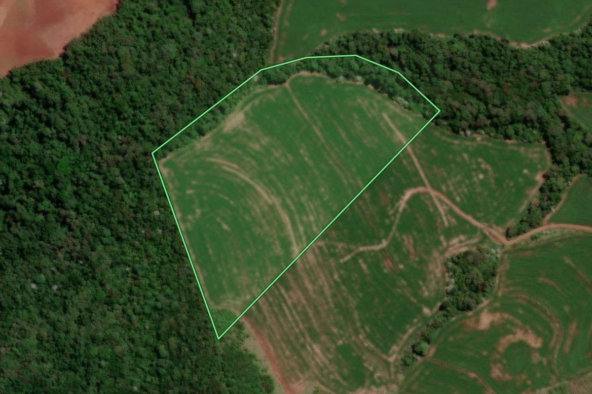 Imagem de satélite do imóvel rural em Verê (PR), com o contorno declarado no CAR desenhado por cima.