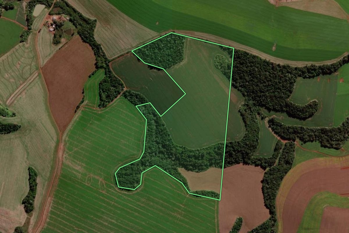 Imagem de satélite do imóvel rural em Verê (PR), com o contorno declarado no CAR desenhado por cima.