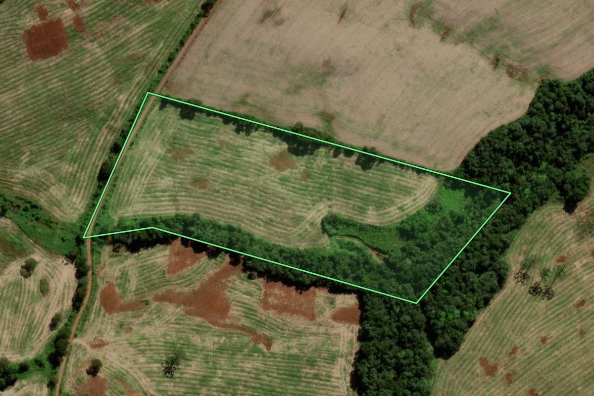 Imagem de satélite do imóvel rural em Verê (PR), com o contorno declarado no CAR desenhado por cima.