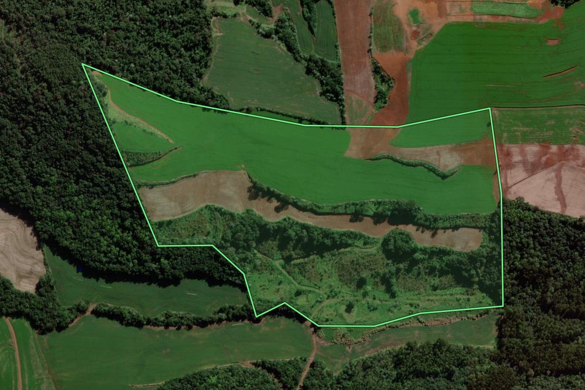 Imagem de satélite do imóvel rural em Verê (PR), com o contorno declarado no CAR desenhado por cima.