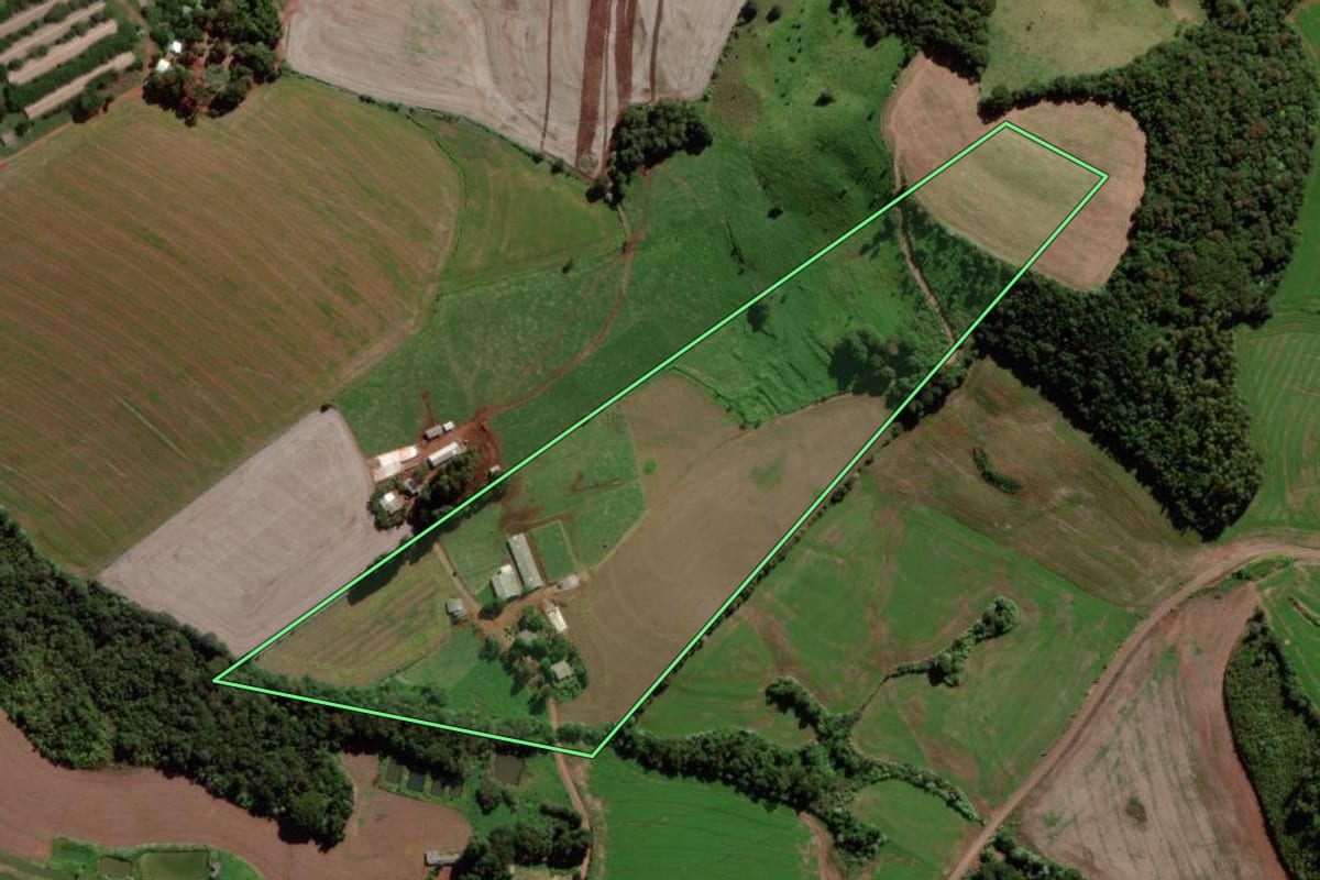 Imagem de satélite do imóvel rural em Verê (PR), com o contorno declarado no CAR desenhado por cima.