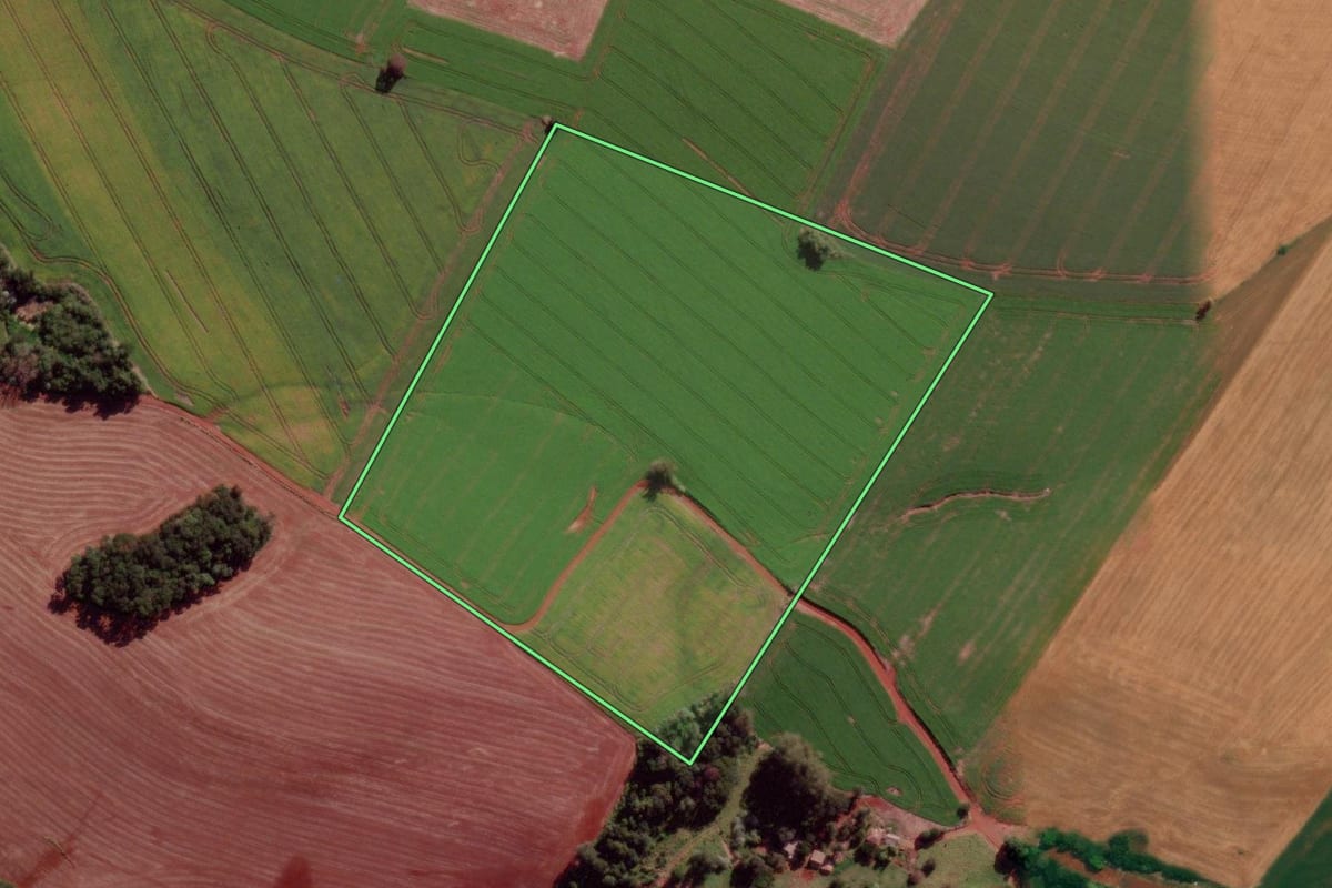Imagem de satélite do imóvel rural em Verê (PR), com o contorno declarado no CAR desenhado por cima.