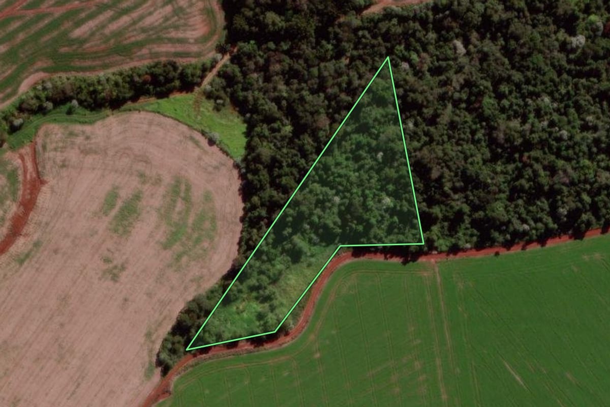 Imagem de satélite do imóvel rural em Verê (PR), com o contorno declarado no CAR desenhado por cima.