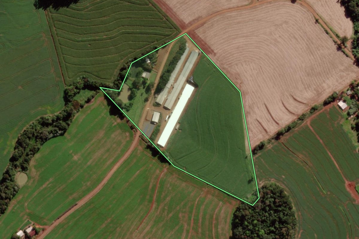 Imagem de satélite do imóvel rural em Verê (PR), com o contorno declarado no CAR desenhado por cima.