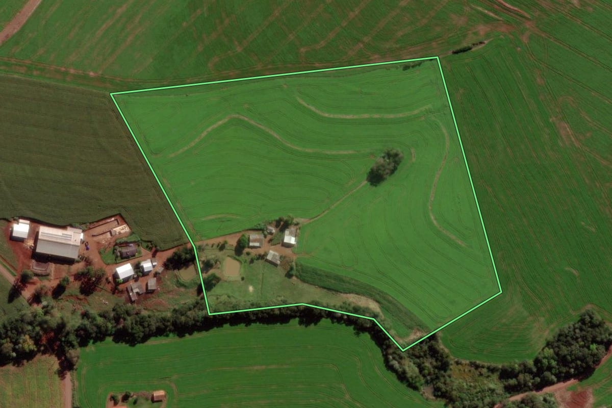 Imagem de satélite do imóvel rural em Verê (PR), com o contorno declarado no CAR desenhado por cima.