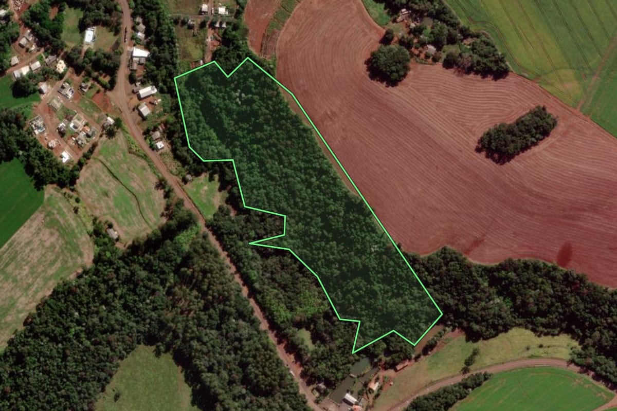 Imagem de satélite do imóvel rural em Verê (PR), com o contorno declarado no CAR desenhado por cima.