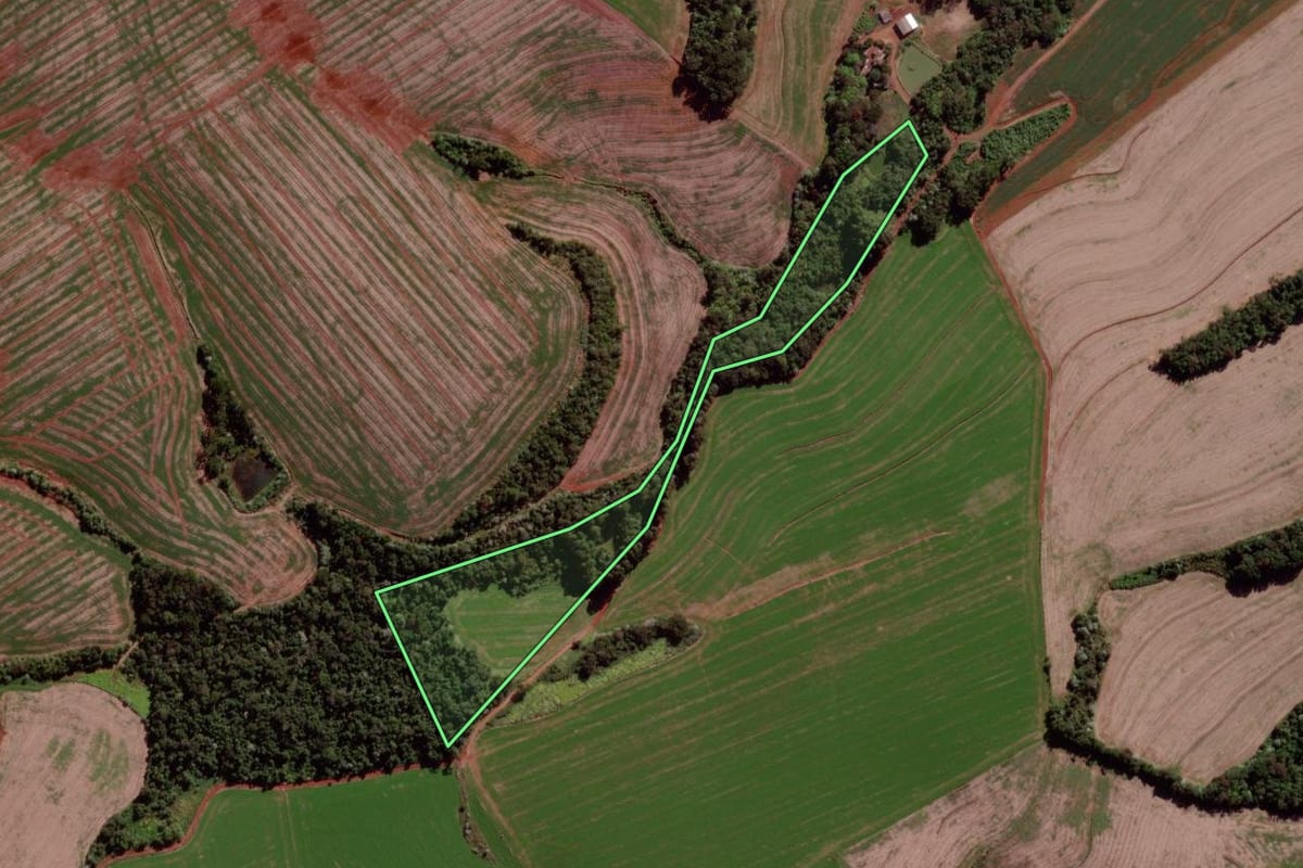 Imagem de satélite do imóvel rural em Verê (PR), com o contorno declarado no CAR desenhado por cima.