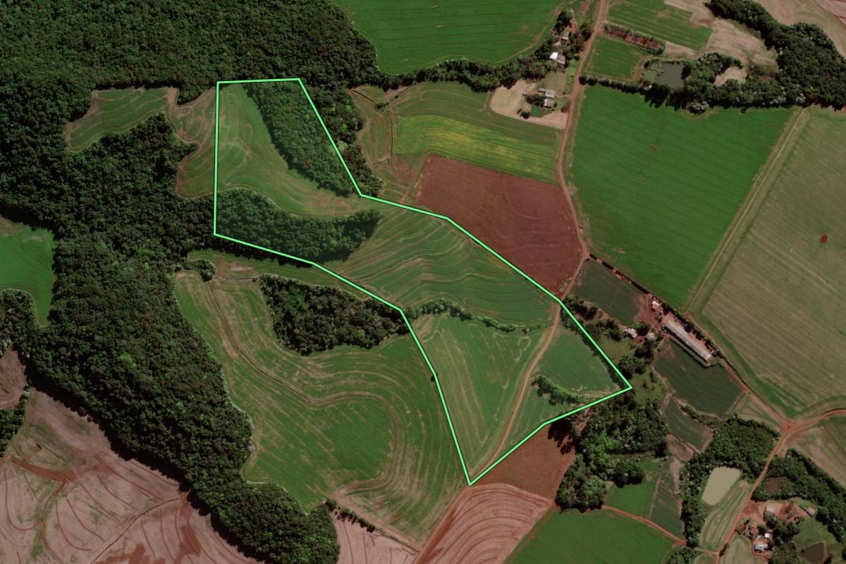 Imagem de satélite do imóvel rural em Verê (PR), com o contorno declarado no CAR desenhado por cima.