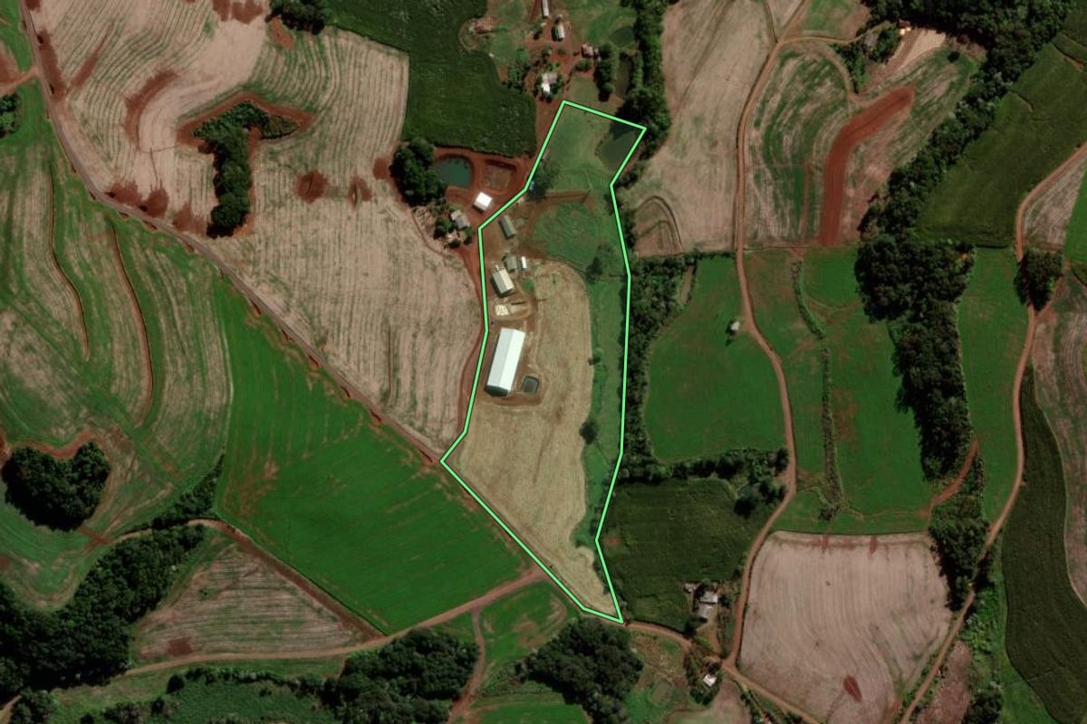 Imagem de satélite do imóvel rural em Verê (PR), com o contorno declarado no CAR desenhado por cima.