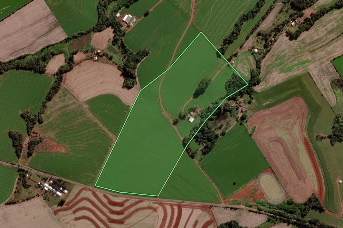 Imagem de satélite do imóvel rural em Verê (PR), com o contorno declarado no CAR desenhado por cima.